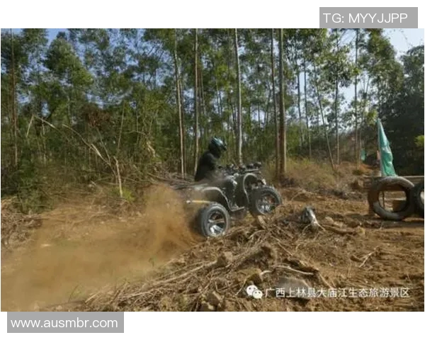 伊拉克与巴林激战正酣最新比赛现场精彩瞬间回顾与分析